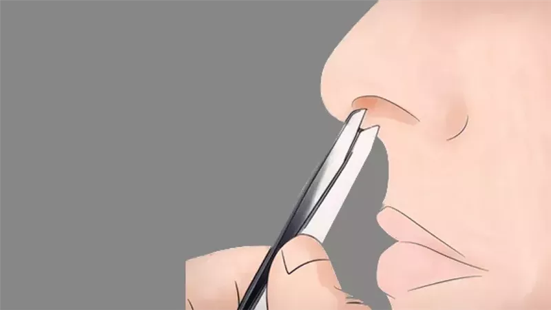 شعر الأنف