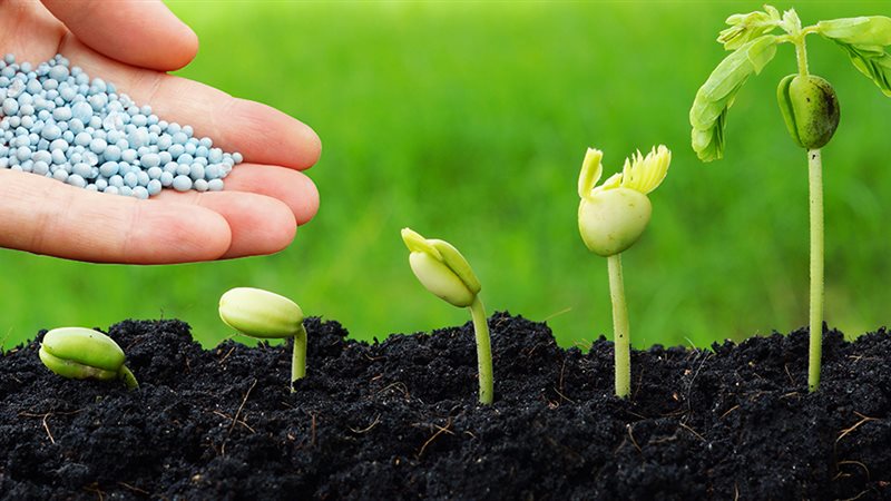 أسعار السماد اليوم،