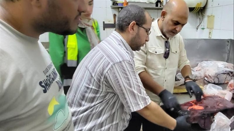 مديرية الطب البيطري