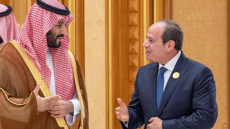 الرئيس السيسي وولي