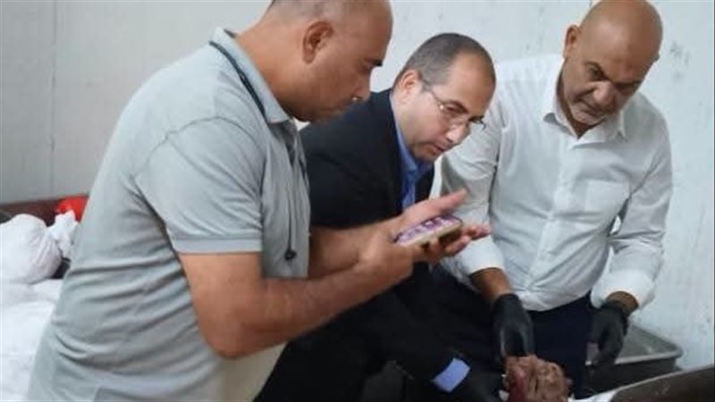 بيطري القليوبية،