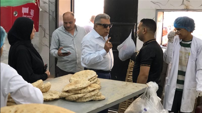 محافظ الدقهلية في
