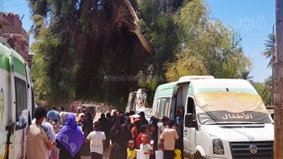 8 قوافل طبية تقدم خدماتها لـ8535 مواطنًا بالمناطق الأكثر احتياجًا بأسوان (صور)