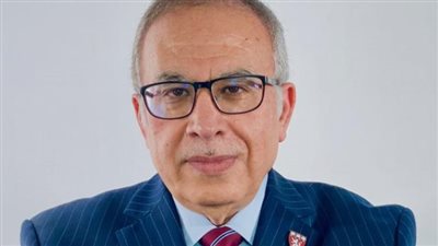 هوس وانزلاق سلوكي يصيب المصريين، أستاذ بهارفارد يحذر من انهيار وشيك للمجتمع المصري   
