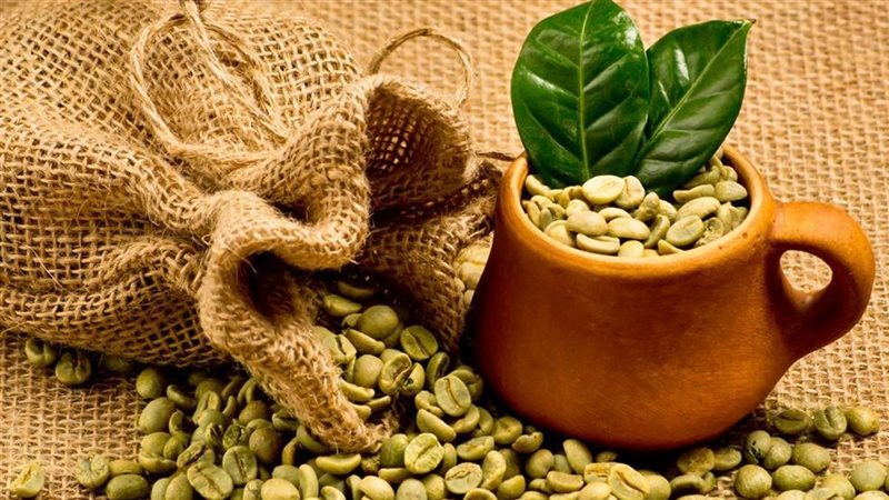 فوائد القهوة الخضراء