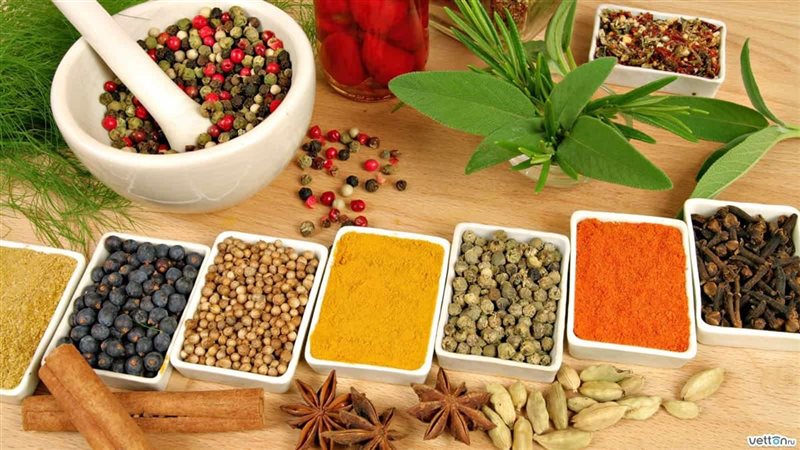 علاج ارتجاع المريء
