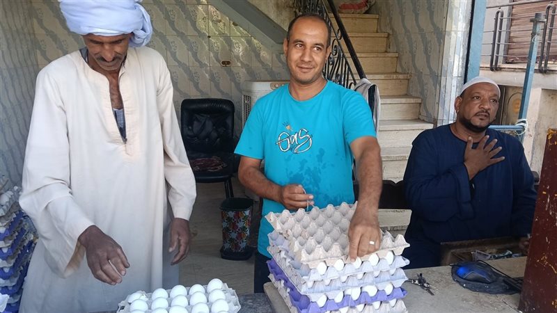 انخفاض في أسعار البيض