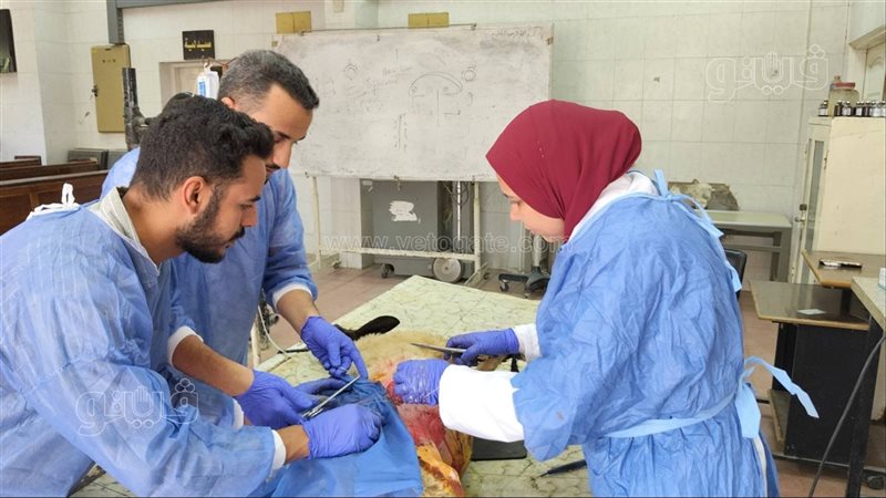 تدخل جراح دقيق لفريق