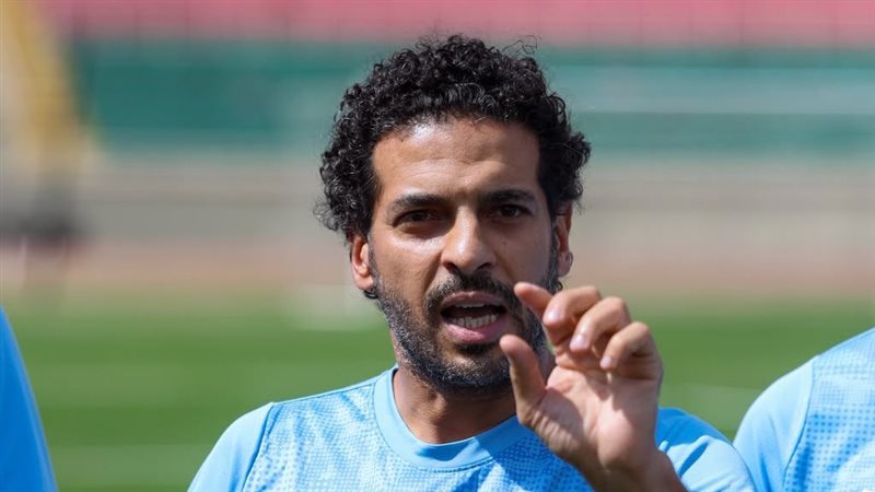 هاني سعيد 