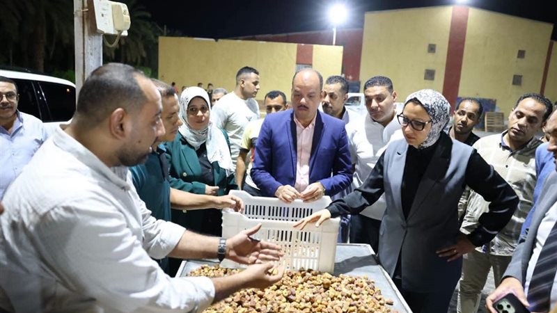 محافظ الوادي الجديد،