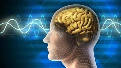  10 أكلات مهمة تحارب النسيان وتقوي الذاكرة 