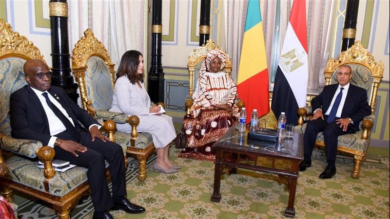وزير الخارجية يلتقي