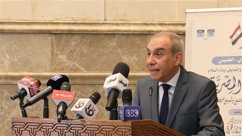 السفير علاء يوسف،
