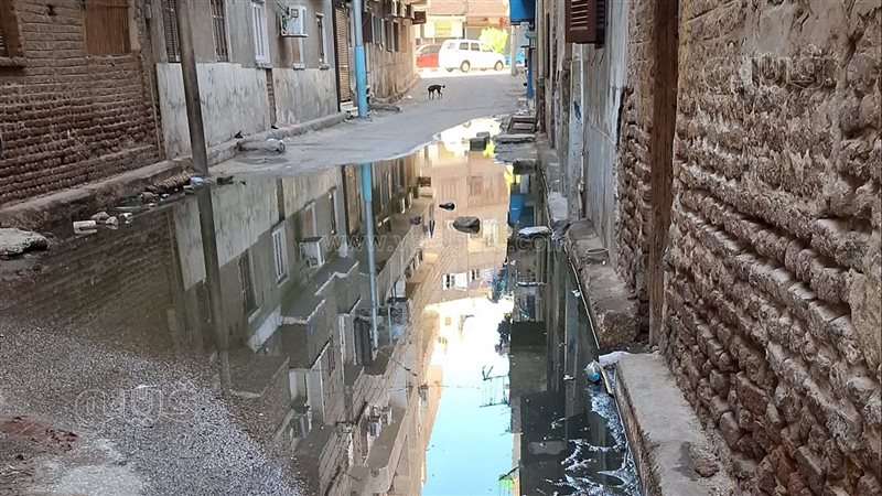 قنا، فيتو