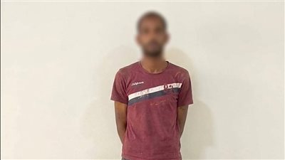 فيديو على مواقع التواصل يقود الشرطة لضبط متهم بسرقة محتويات سيارة بالقاهرة