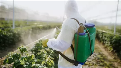 الفاو: الآفات تلتهم من 40% من الإنتاج المحصولي عالميًا 