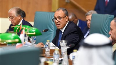 وزير الخارجية يؤكد أهمية تعزيز منظومة الأمن القومي العربي (صور)