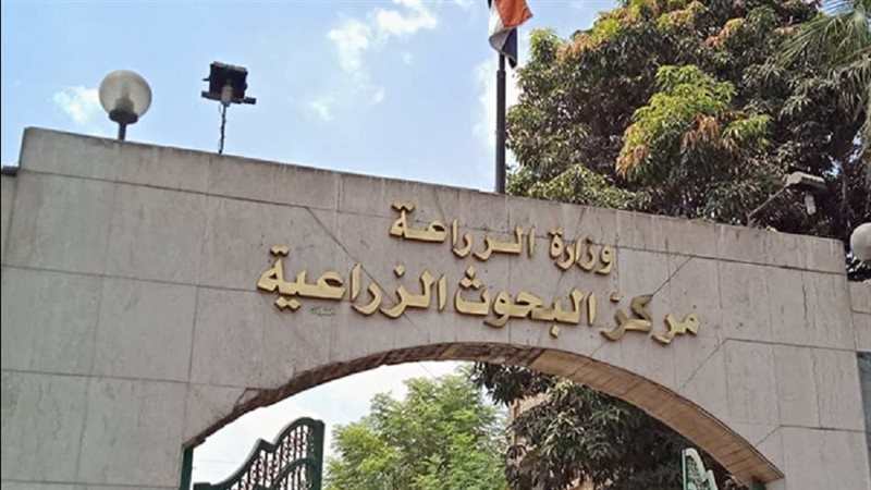  مركز البحوث الزراعية