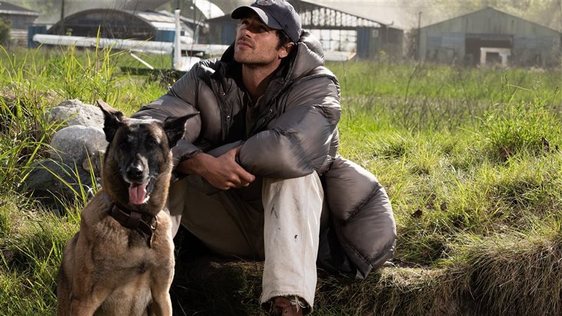 The Dog Stars