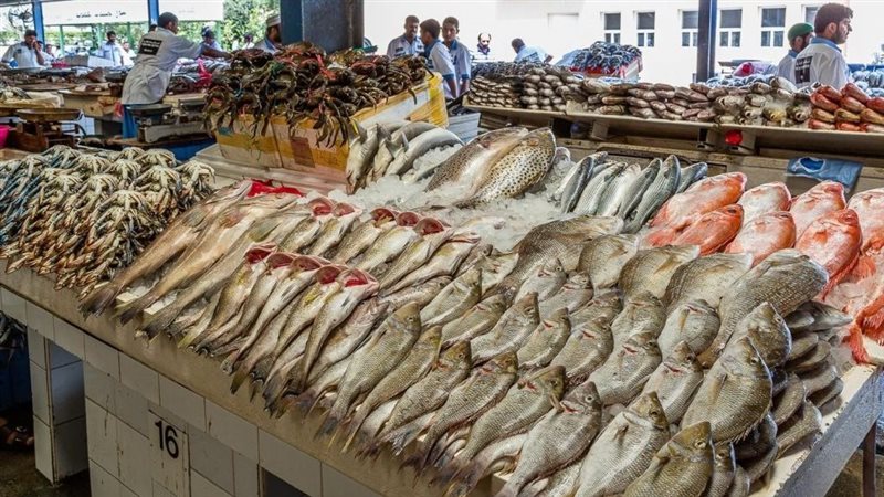 أسعار السمك اليوم