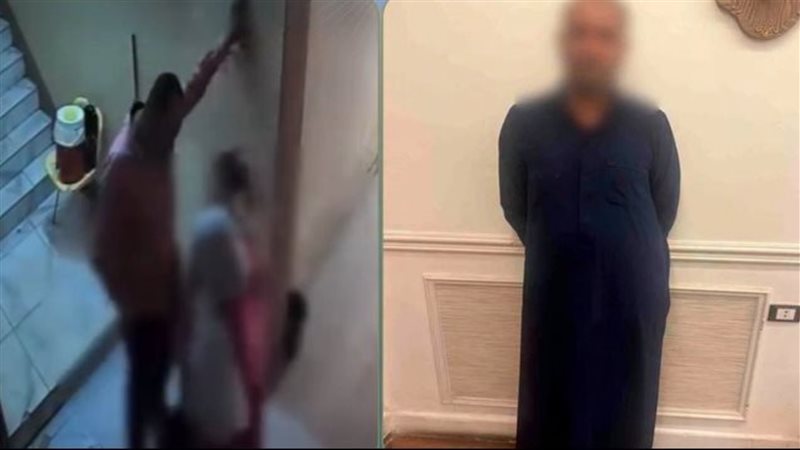 بالدقهلية.. ضبط شخص