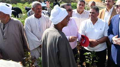 موسم الخير، بدء جني محصول القطن بالفيوم