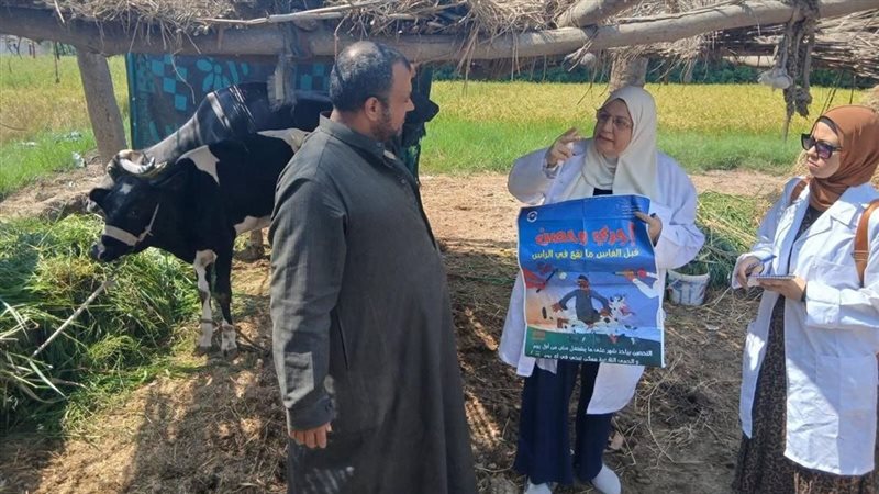 حملات الحفاظ على