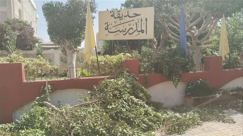جانب من أعمال المبادرة،
