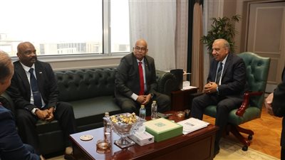 مصر والسودان يبحثان المرحلة الثانية من مشروع خط الربط الكهربائي بين البلدين 