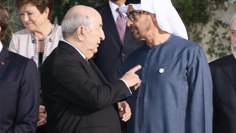 الرئيس الإماراتى