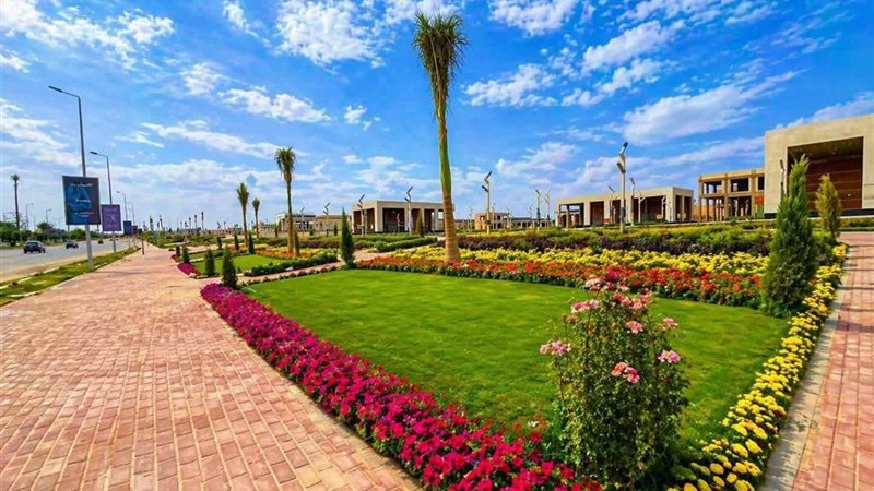 زيادة معدلات التشجير