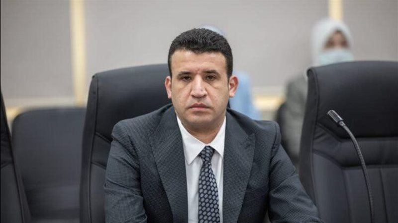 عمرو فتوح، نائب رئيس