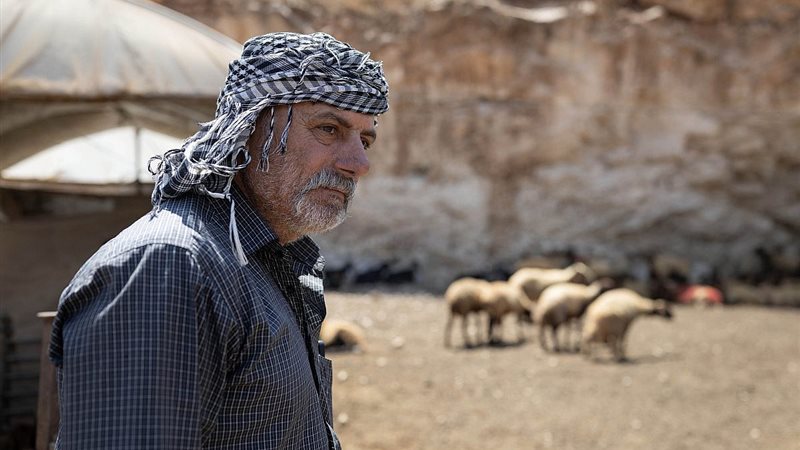 الراعي الفلسطيني توفيق حاج