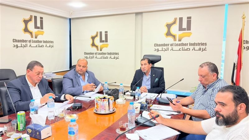 صناعة الجلود تنفذ