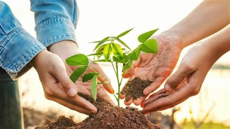 مقترحات برلمانية