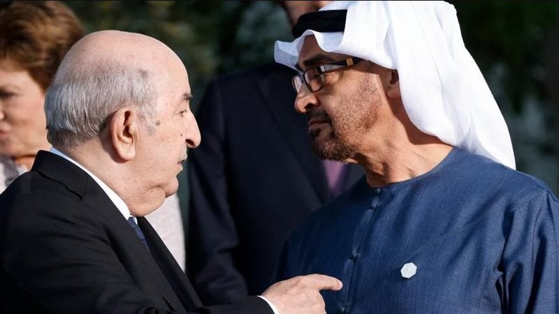 الشيخ محمد بن زايد