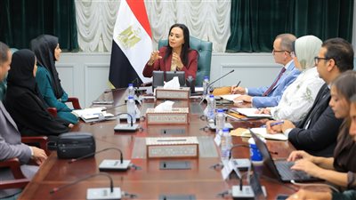 تعاون مصري قطري جديد لدعم وتأهيل الأشخاص ذوي الهمم 