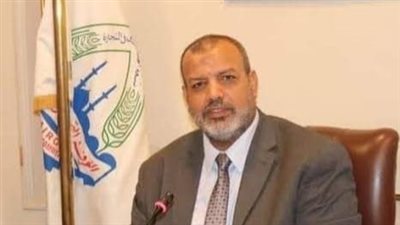 شعبة الأدوات الصحية: مشاركة مصر في قمة «بريكس» تعزز فرص التجارة والاستثمار