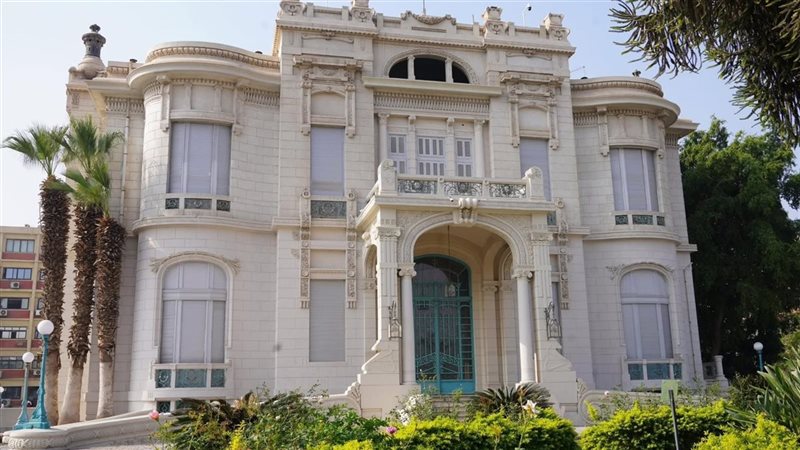 جامعة عين شمس، فيتو