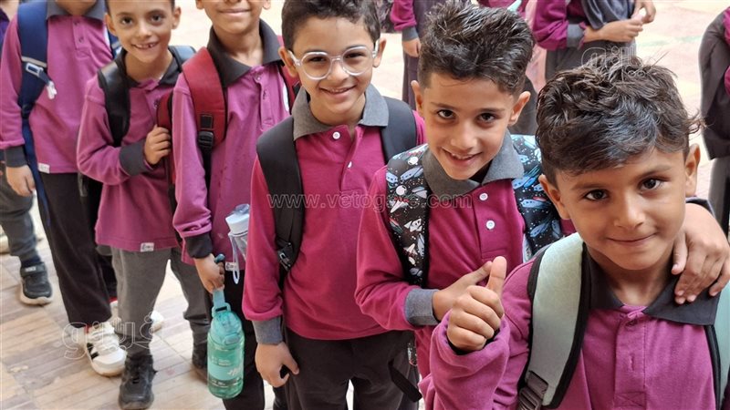 انتظام هادئ للدراسة