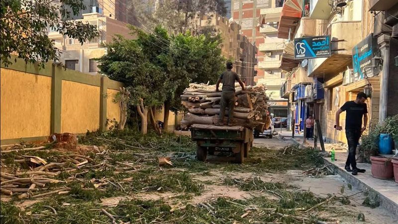 التحقيقات تكشف التفاصيل
