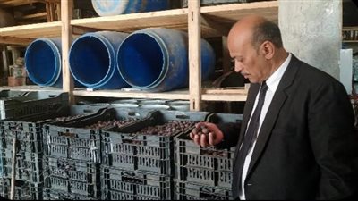 التحفظ على 22 طن زيتون مخلل فاسد داخل منشأة غير مرخصة بطنطا 