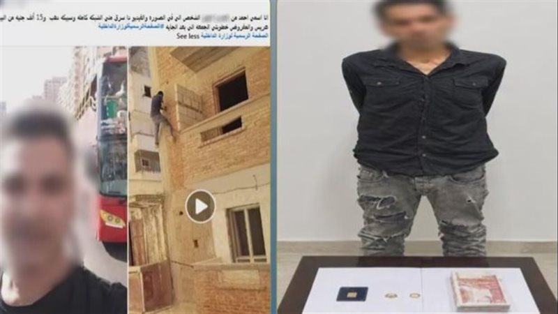 اللص، فيتو