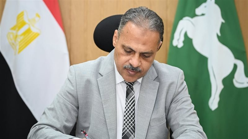  محافظ الشرقية