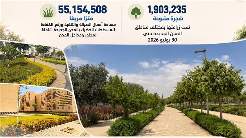 زيادة معدلات التشجير