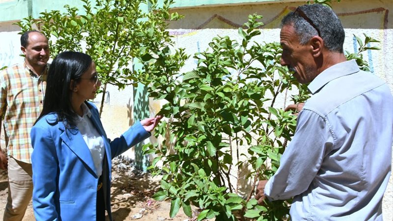 المبادرة الرئاسية