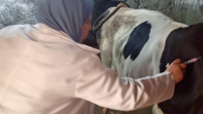  حملات بيطرية مكثفة