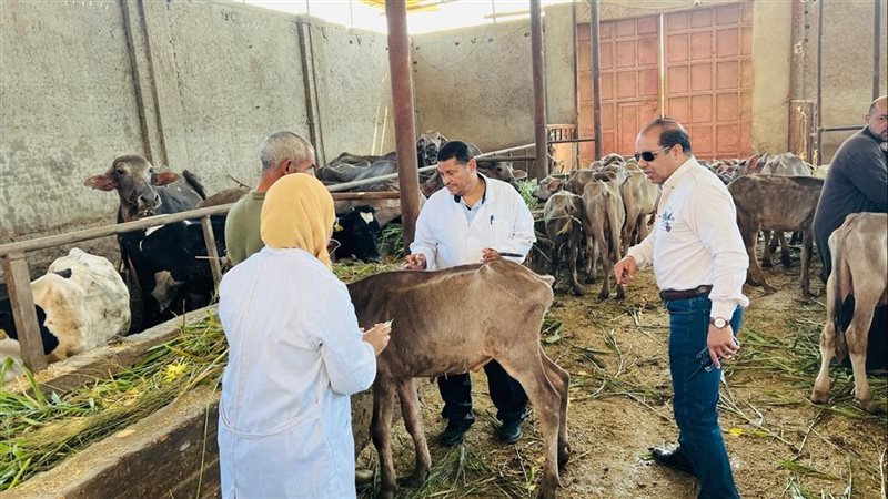 حملة تحصين، فيتو
