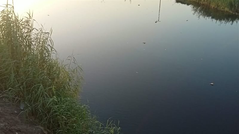 مصرف الزوامل