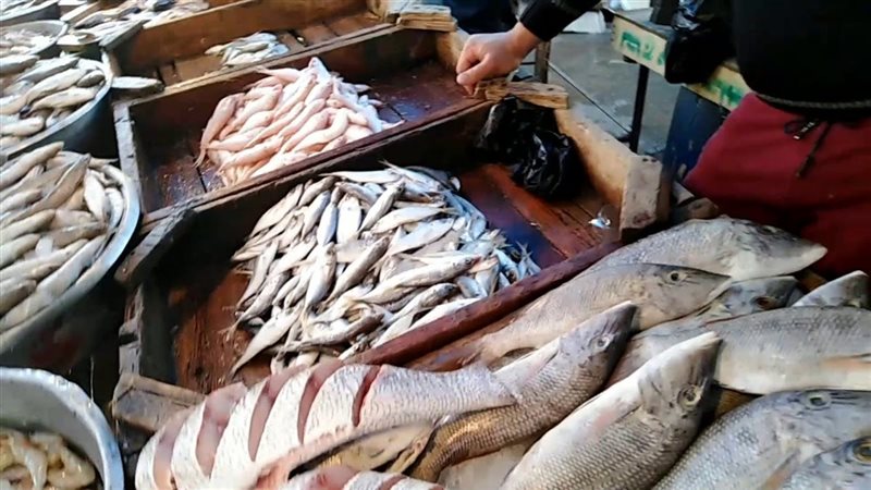 أسعار السمك اليوم،